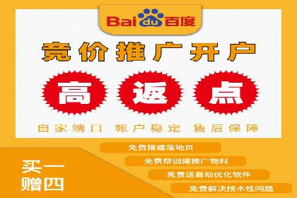 搜索引擎优化（SEO）与竞价广告（SEM）的对比案例